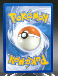 Charizard ex #223 — back
