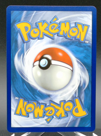 Gyarados VMAX #29 — back
