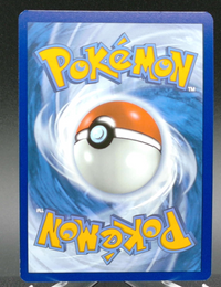 Bulbasaur (Mega Evolution Stamped) #133 — back