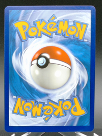 Charizard V (Alternate Full Art) #154 — back