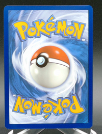Tapu Koko ex #247 — back