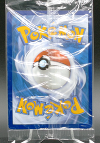 Charmander (Pokemon Center Exclusive) #044 — back