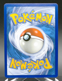 Trevenant & Dusknoir GX #SM217 — back