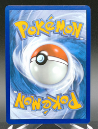 Riolu (Pokemon Center Exclusive) #010 — back