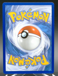 Team Rocket's Mimikyu #238 — back