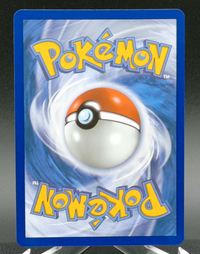 Chespin #058 — back