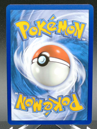 N's Zorua #189 — back