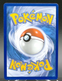 Snorunt #227 — back