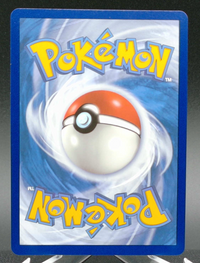 Temple of Sinnoh #214 — back