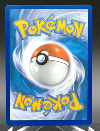Rayquaza VMAX #111 — back