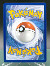 Pikachu & Zekrom GX #008 — back