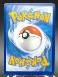 Friends in Sinnoh #149 — back