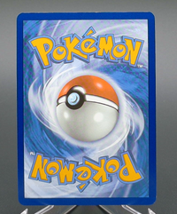 Pikachu ex #247 — back