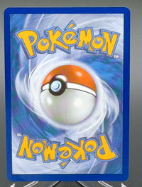 Squirtle #039 — back