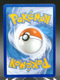 Squirtle #170 — back
