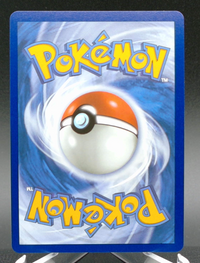 Mewtwo ex #151 — back