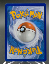 Mudkip #057 — back