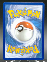 Metang #094 — back