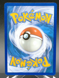 Blastoise ex #184 — back