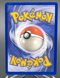 Electabuzz #002 — back