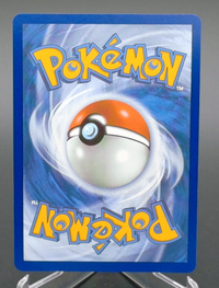 Turtwig #040 — back