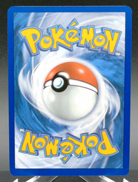 Eevee #173 — back