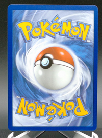 Mewtwo ex #157 — back