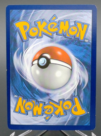 Charizard V #260 — back