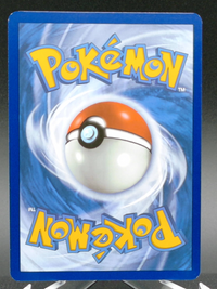 Squirtle #170 — back
