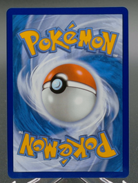 Mega Charizard X ex #023 — back