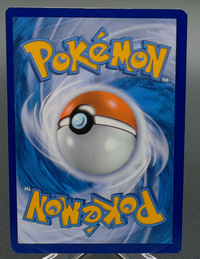 Charizard V #260 — back