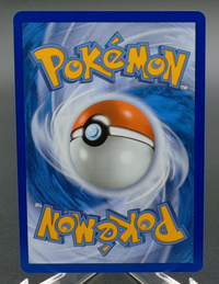 Turtwig #040 — back