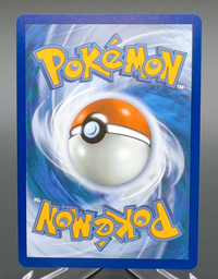 Squirtle #039 — back