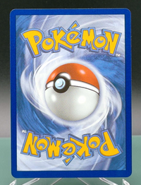 Squirtle #039 — back