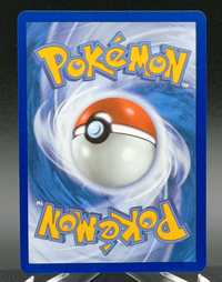 Turtwig #040 — back