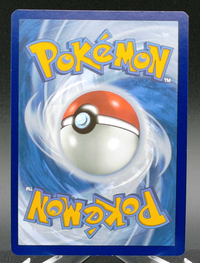 Spidops ex #243 — back