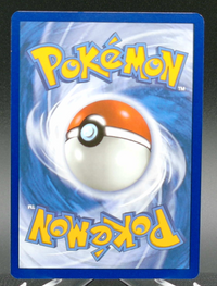 Wailord #162 — back