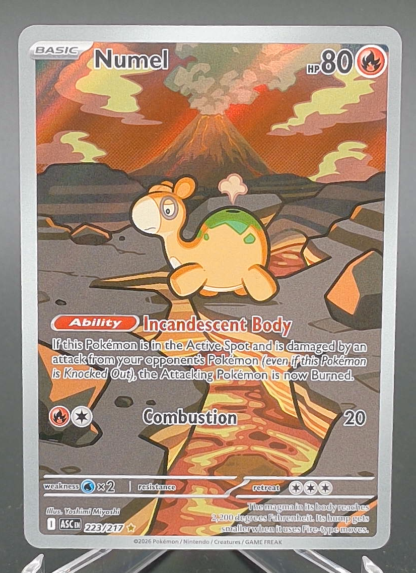 Numel #223 - Front