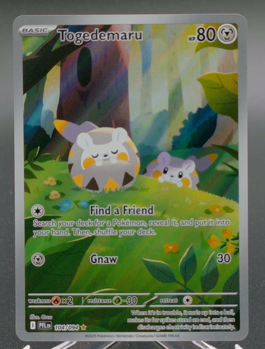 Togedemaru #104 - Front