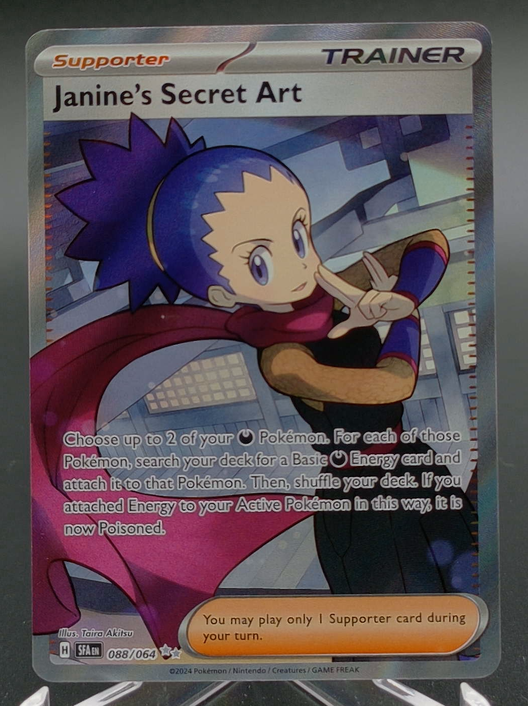 Janine's Secret Art #088 - Front