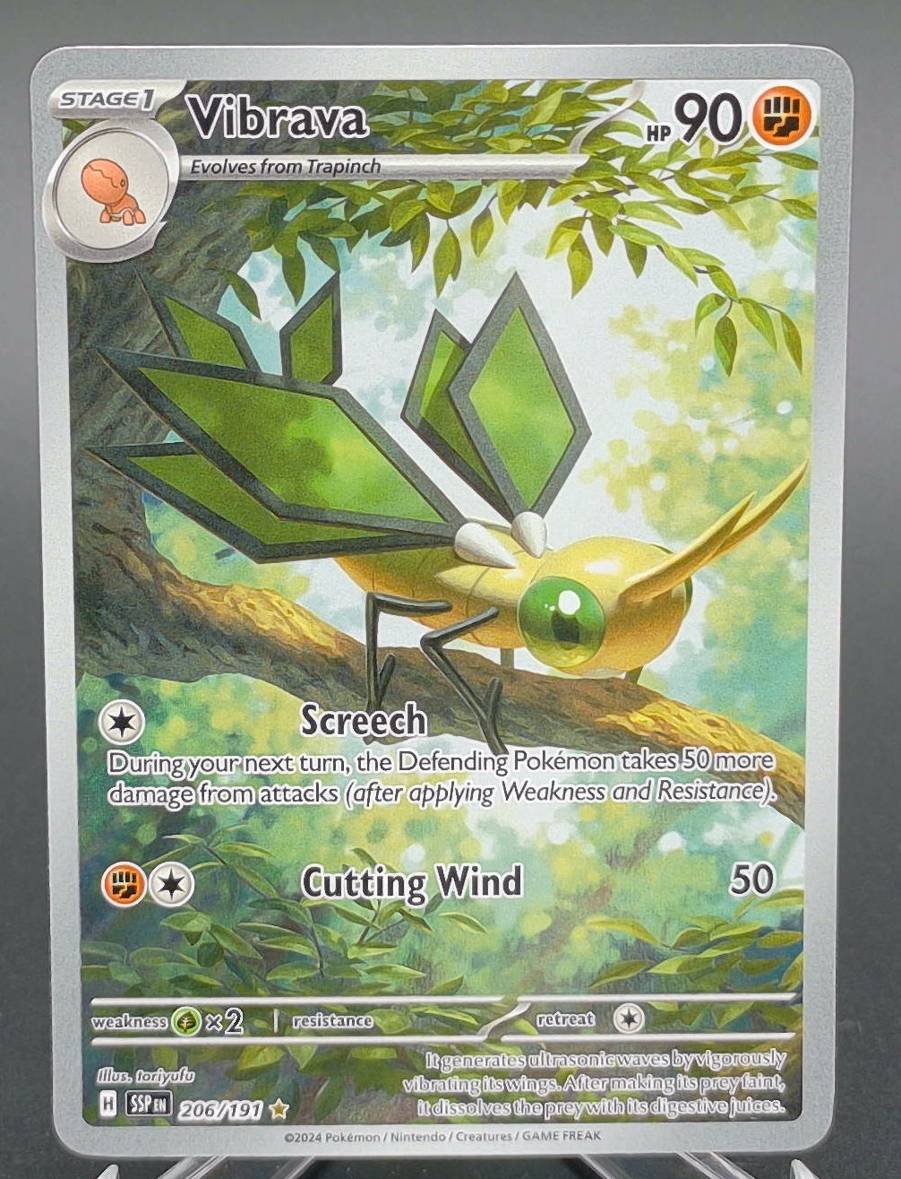 Vibrava #206 - Front