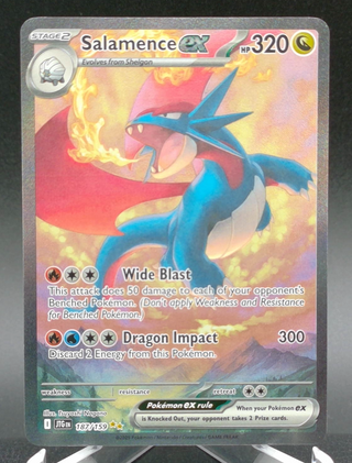 Salamence ex #187 — Copy #1 (NM) front