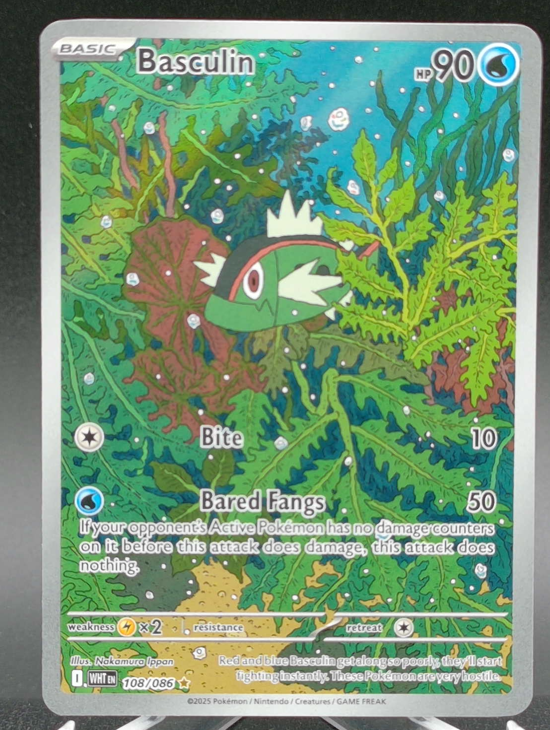 Basculin #108 — front