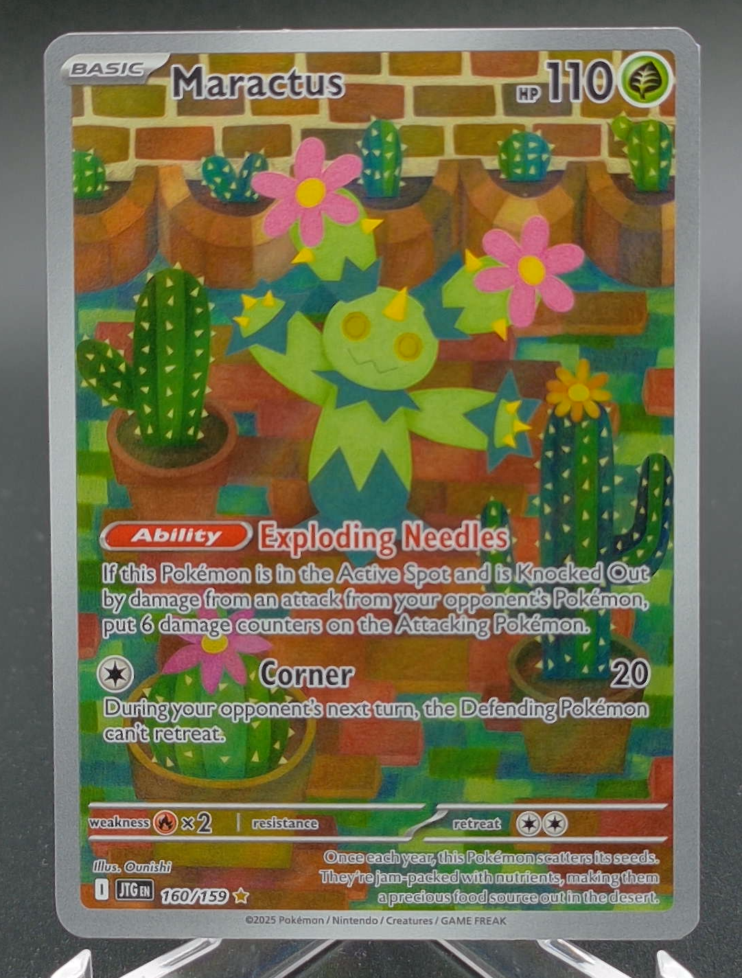 Maractus #160 - Front