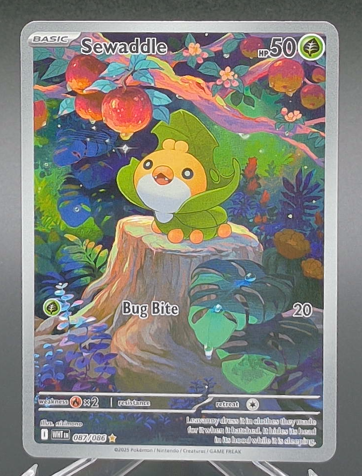 Sewaddle #087 - Front