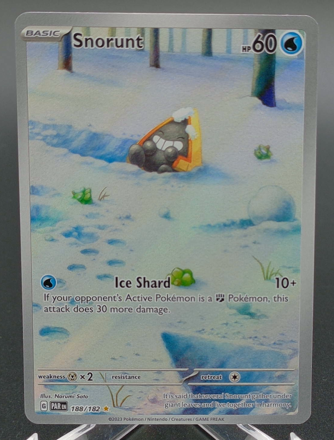 Snorunt #188 — front