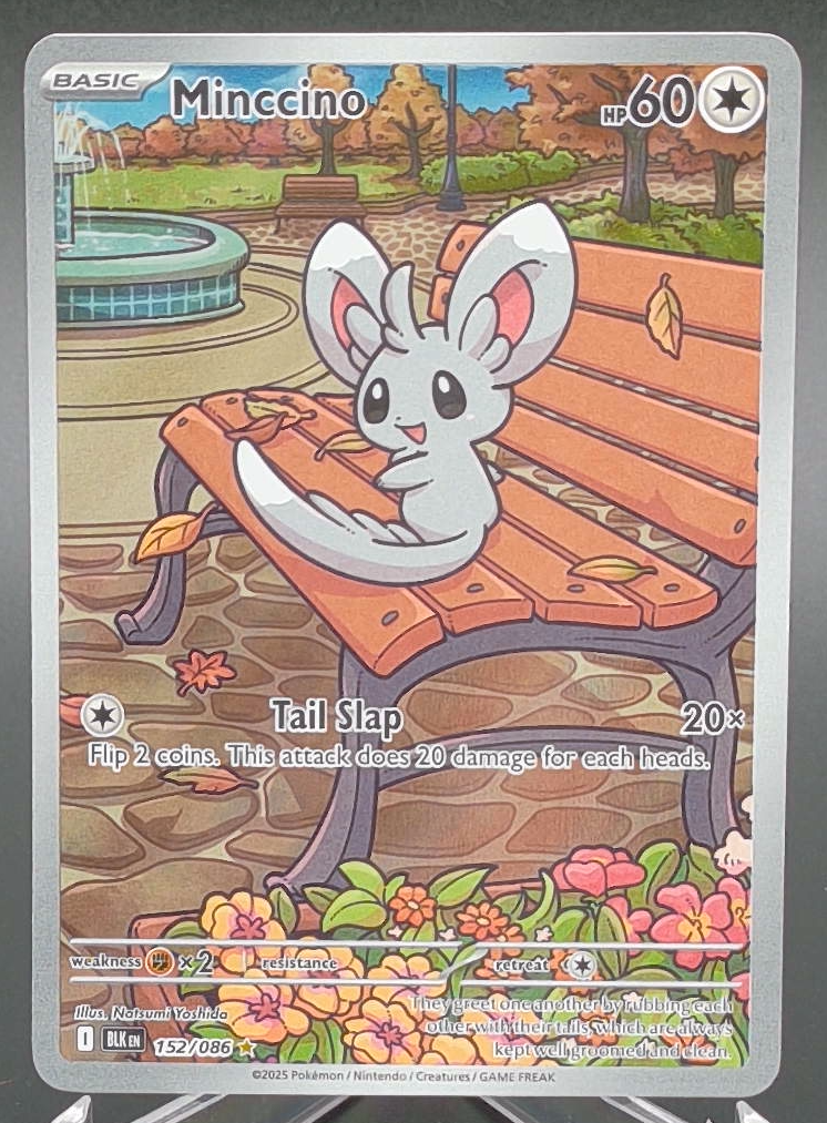 Minccino #152 - Front