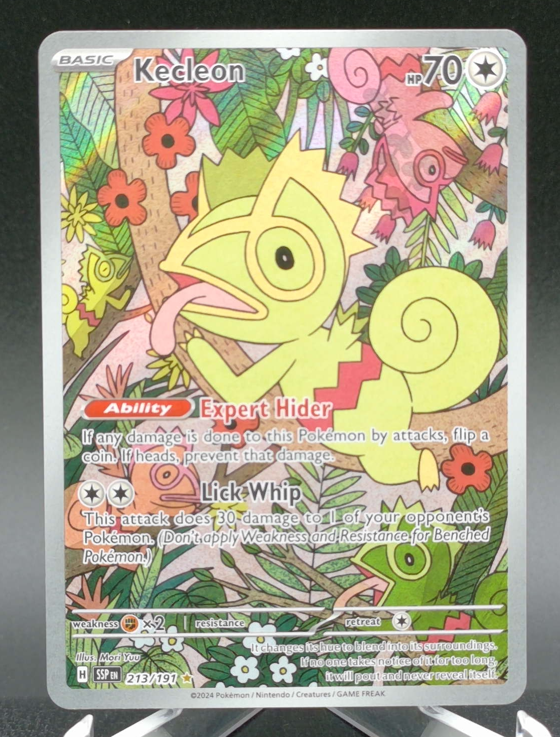 Kecleon #213 — front