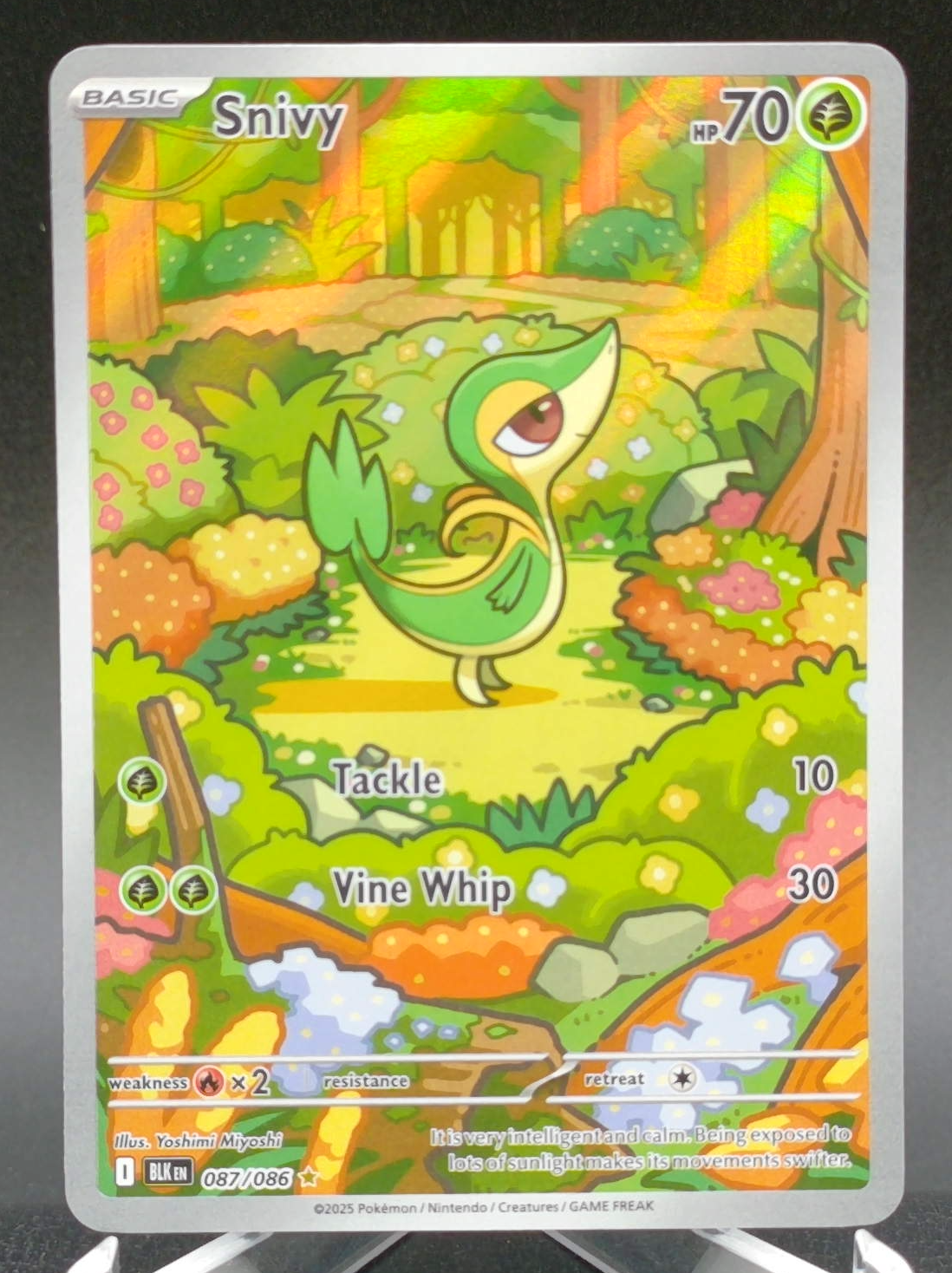 Snivy #087 — front