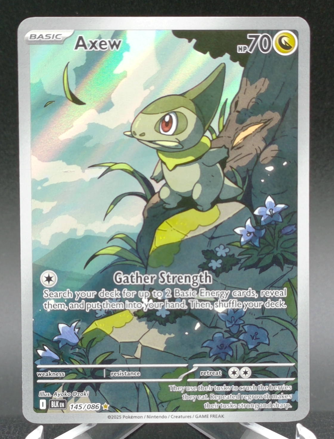 Axew #145 — front